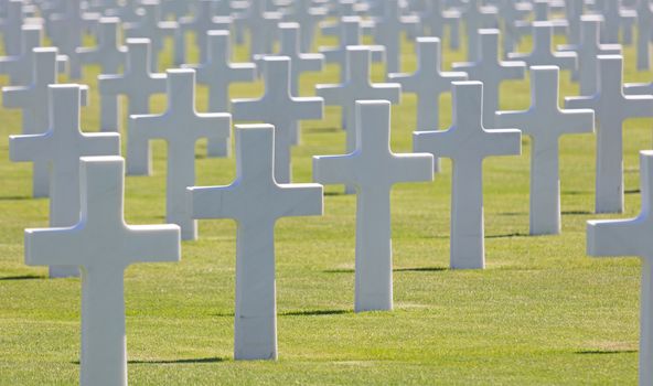 Rows of graves in the American mlitary cemetary in Luxembourg