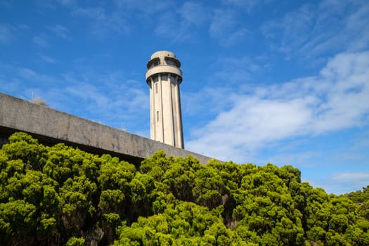 Natural heather forest and old lighthouse landscape in Sao Jorge. Azores. Portugal