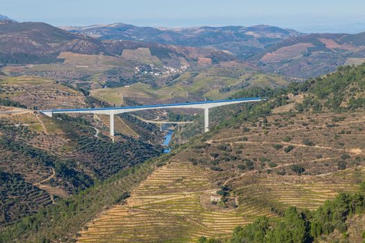 Scenic view of the Douro Valley and river with terraced vineyards near the village of Tua, Portugal