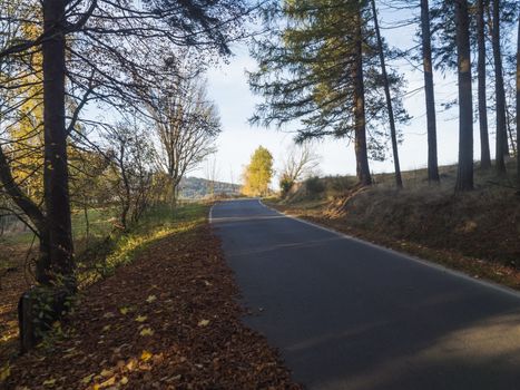 Asphalt road winding through colorful deciduous forest in the autumn with fallen leaves of oak and Maple and birch Trees, deminishing perspective, blue sky white clouds.