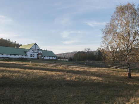 Autumn scenery with green farm house and grazing sheep and colorful trees on the meadow. Sunset golden hour light. Luzicke hory Lusitian mountains.