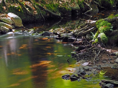 Long exposure magic forest stream with moss stones grass leafs and grass in golden light