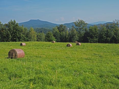straw bale on green grass meadow with tree, hills and blue sky - summer idyllic landscape
