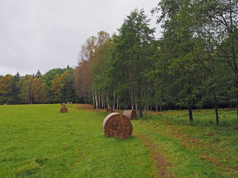 straw bales on the autumn green meadow and colorful trees