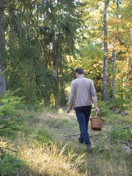 beck of young man in deciduous forest is hunting for a mushrooms holding whicker basket creel, mushroom picking concept.