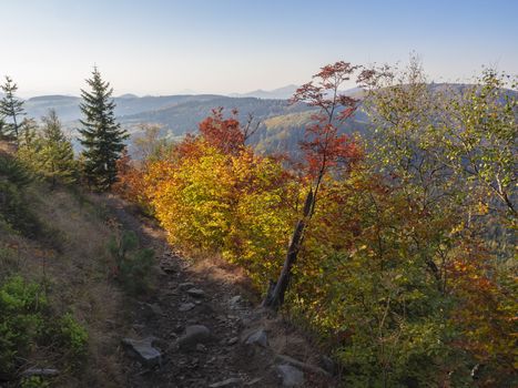 view from footpath on top of Klic or Kleis in Lusatian Mountains or luzicke hory with vivid autumn colored deciduous and coniferous tree forest and green hills, blue sky golden hour light.