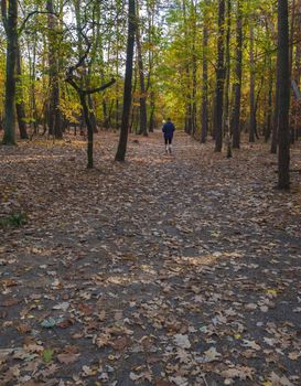 Running man in blue jacket on forest road in autumn.