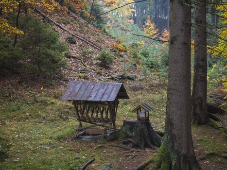 wooden feeder or manger for wild animals in the forest. Feeding trough with hay for wild boars, deer and birds in the atumn forest