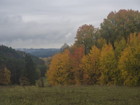 green meadow with autumn colorful beech forest and trees and hills in nature reserve Cesky Raj, moody blue sky.