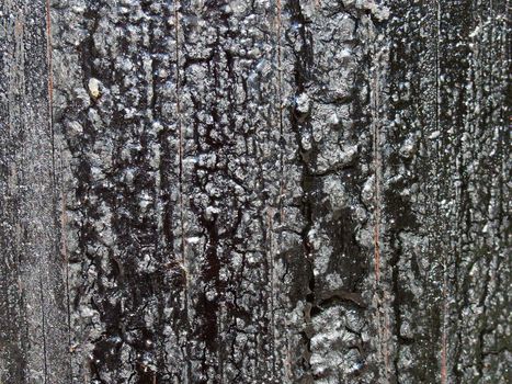 a black melting old bitumen preservative covered textured timber surface