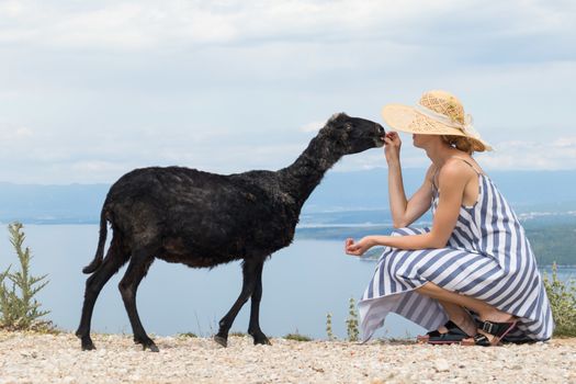 Young attractive female traveler wearing striped summer dress and straw hat squatting, feeding and petting black sheep while traveling Adriatic coast of Croatia.