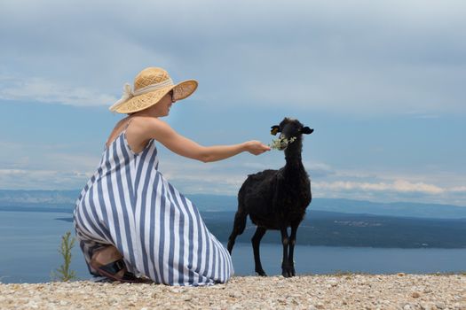 Young attractive female traveler wearing striped summer dress and straw hat squatting, feeding and petting black sheep while traveling Adriatic coast of Croatia.