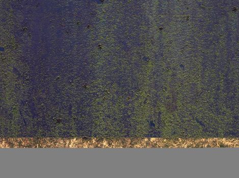 a lack painted metal surface with faded white strip covered in green moss and algae on a boat