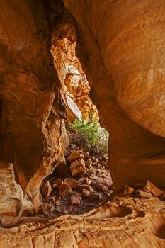 A scene of highly eroded sandstone formations in the Cederberg Wilderness Area, Western Cape. South Africa