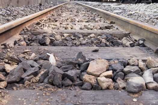 Iron rusty Railway tracks railroad for Trains