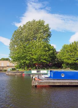 old narrow boats converted to houseboats moored in the marina at brighouse basin in west yorkshire surrounded by trees and a bright sunny blue sky