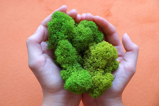green stabilized moss in children's hands as a symbol of purity