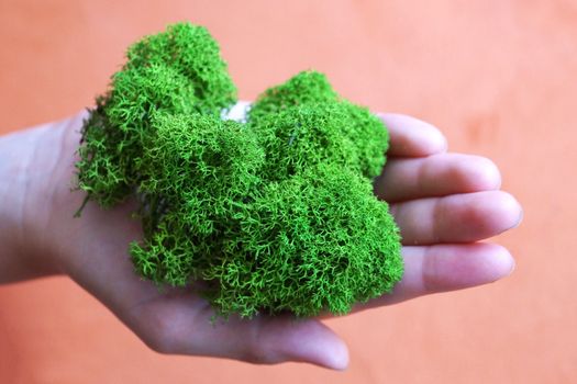 green stabilized moss in girl's hand as a symbol of purity