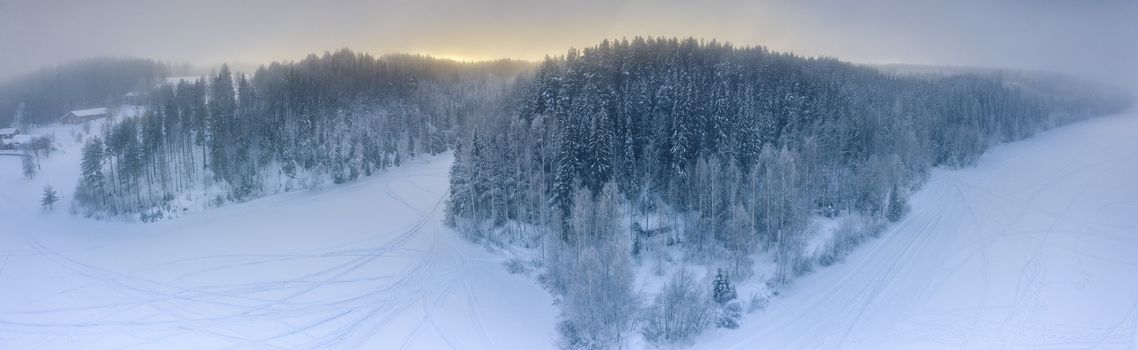 Aerial panorama view of winter pine tree forest, subarctic landscape, frozen, foggy air, low clouds, much snow on old high pine trees, frosty branches, Grano village around Umea city, Northern Sweden