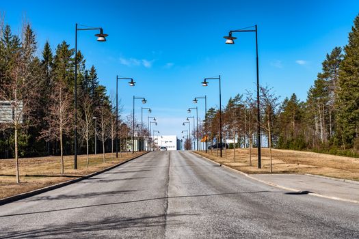 Symmetrical beautiful row of streetlights placed on both sides of street with forest trees. Street road leads to horizon, sunny day in modern fresh looking city