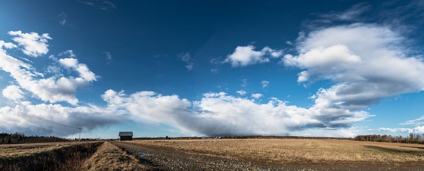 Beautiful wide panorama of late spring field with faded grass, road, few old wooden sheds, power supply wooden poles, deep blue sky with large white and dark blue clouds, forest edges