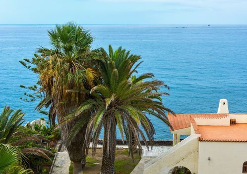 On the Atlantic coast of Tenerife island there is a house on the territory of palm trees