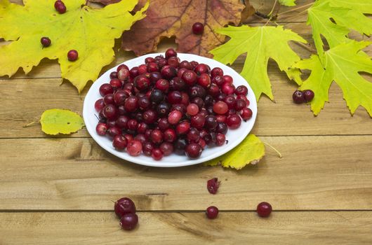 On a wooden surface lie autumn leaves, and is white plate with cranberries.