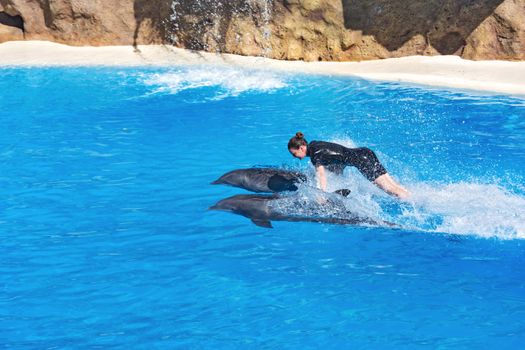 Dolphin show in the Loro Parque (Loro Parque), Tamer floats holding the fins of two dolphins, 13.09.2016, (Tenerife, Spain).