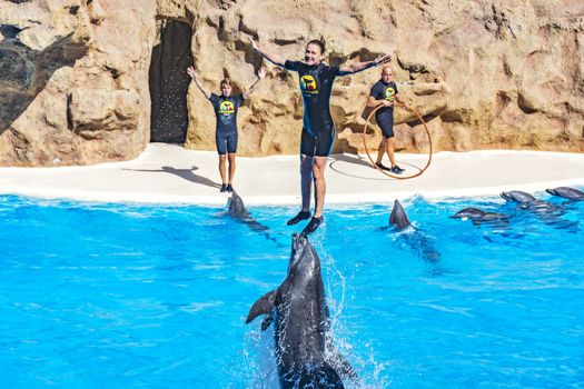 Dolphin show in the Loro Parque (Loro Parque), pushed out of the water dolphin tamer, 13.09.2016, (Tenerife, Spain).