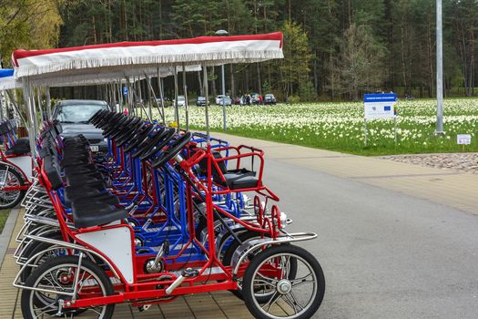 Vehicles with four-wheel steering and an awning for walking