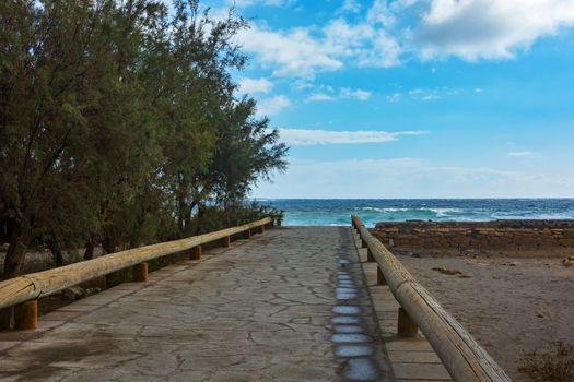 Walkway to the ocean
