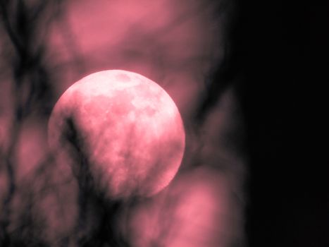 Liguria, Italy - 07/22/2020: Beautiful photography of the moonlight in the different phases with different colours. Black sky and little stars in the background.