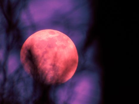 Liguria, Italy - 07/22/2020: Beautiful photography of the moonlight in the different phases with different colours. Black sky and little stars in the background.