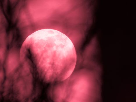 Liguria, Italy - 07/22/2020: Beautiful photography of the moonlight in the different phases with different colours. Black sky and little stars in the background.