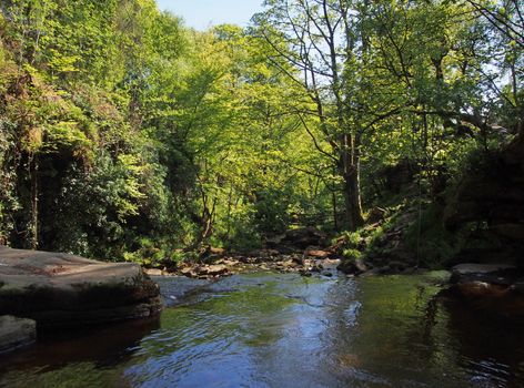 a view of the river and valley at lumb hole valley in woodland at crimsworth dean near pecket well in calderdale west yorkshire