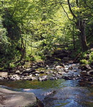 a view of the river and valley at lumb hole falls in woodland at crimsworth dean near pecket well in calderdale west yorkshire