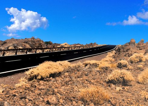 empty two lane blacktop road in the desert with scrub plants arid landscape and blue sky