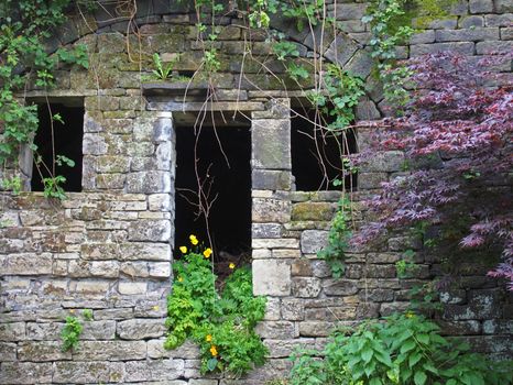 the facade of an abandoned stone rural house with empty windows and doorway overgrown with colorful weeds ivy and wildflowers