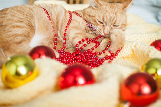 A fat lazy ginger cat lies on a knitted yellow blanket with New Year's toys: gold and red balls. New Year card.