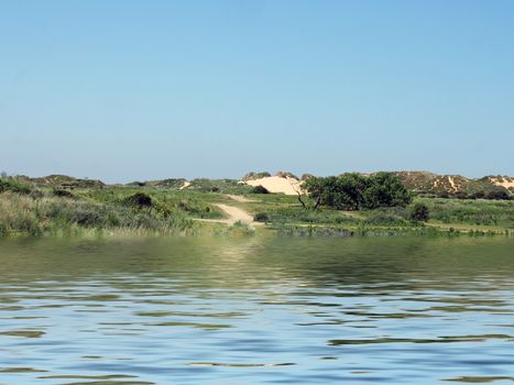 a view from the sea of a winding path through sand dunes and grass on the merseyside coast near formby