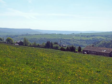 a view across a flower covered meadow in spring with hilly west yorkshire landscape with the village of heptonstall and pennines in the distance