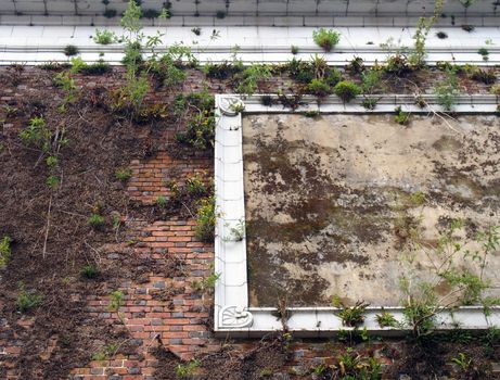 A brick wall on the exterior of an old derelict abandoned building overgrown with weeds and white stone framed details