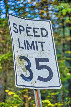 Speed Limit 35 Miles per Hour street sign in the woods.