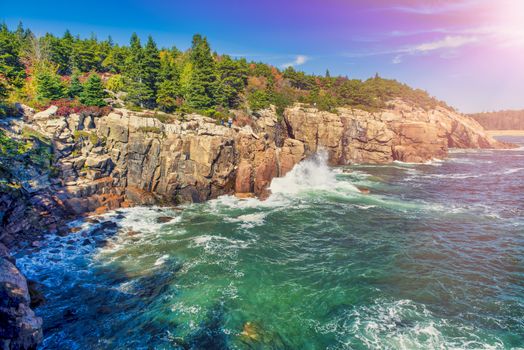 Acadia National Park, Maine. Coastline along the sea in foliage season, USA