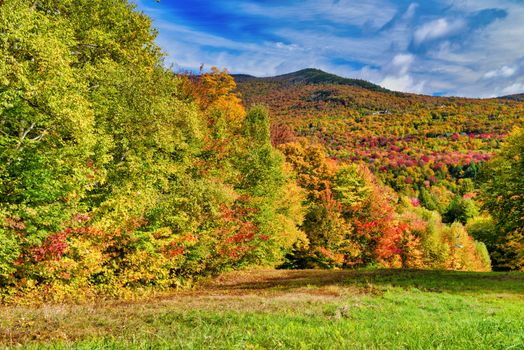 Beautiful forest of New England in foliage season, USA.