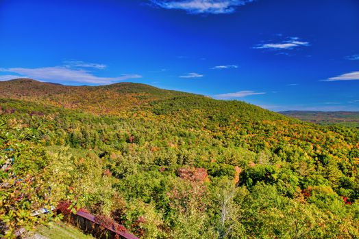 Beautiful forest of New England in foliage season, USA.