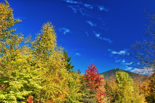 Beautiful forest of New England in foliage season, USA.