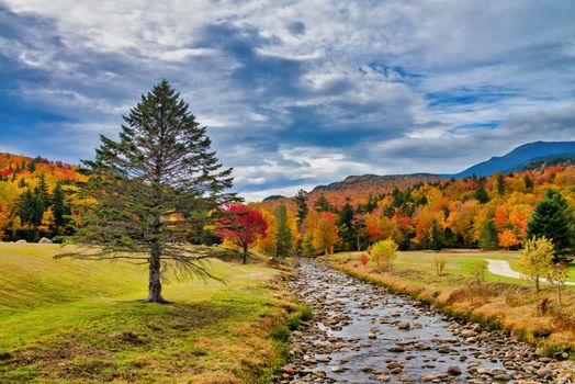Beautiful creek of New England with tree and foliage background.