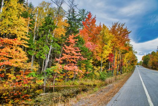 Road across New England countryside in foliage season, USA,