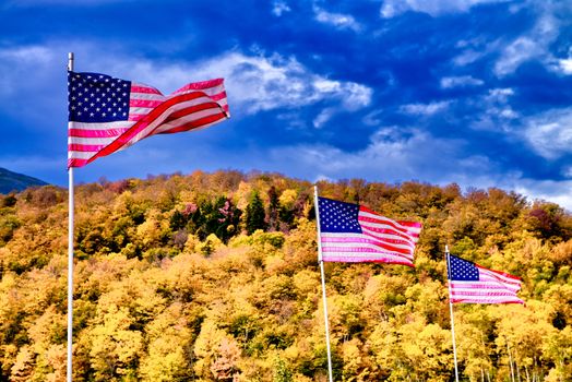 Waving american flags in New England, autumn foliage season with orange colors and blue sky.